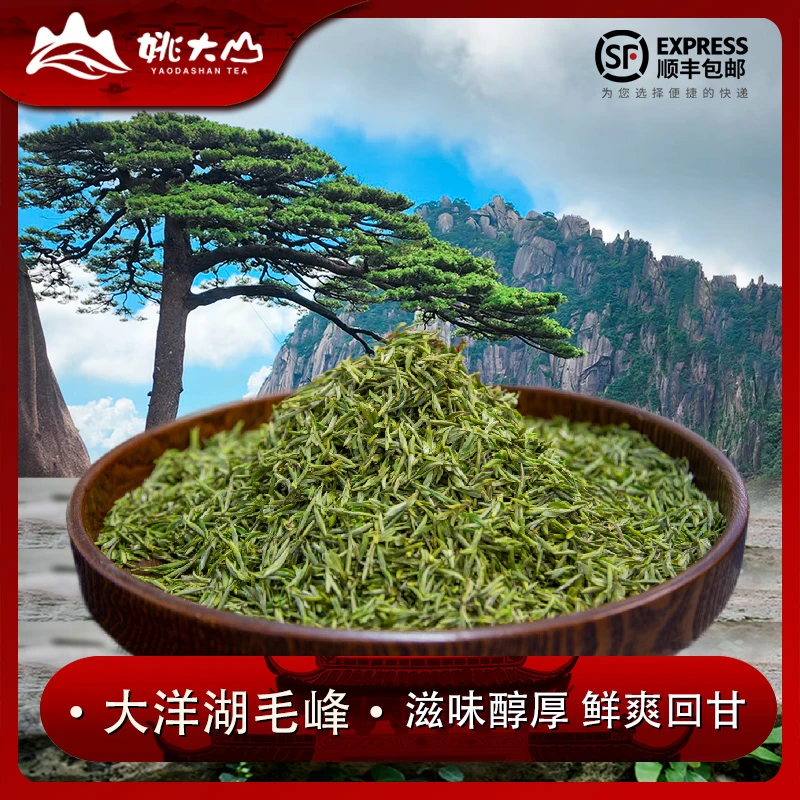 【茶农】2025大洋湖毛峰  特级绿茶  茶叶