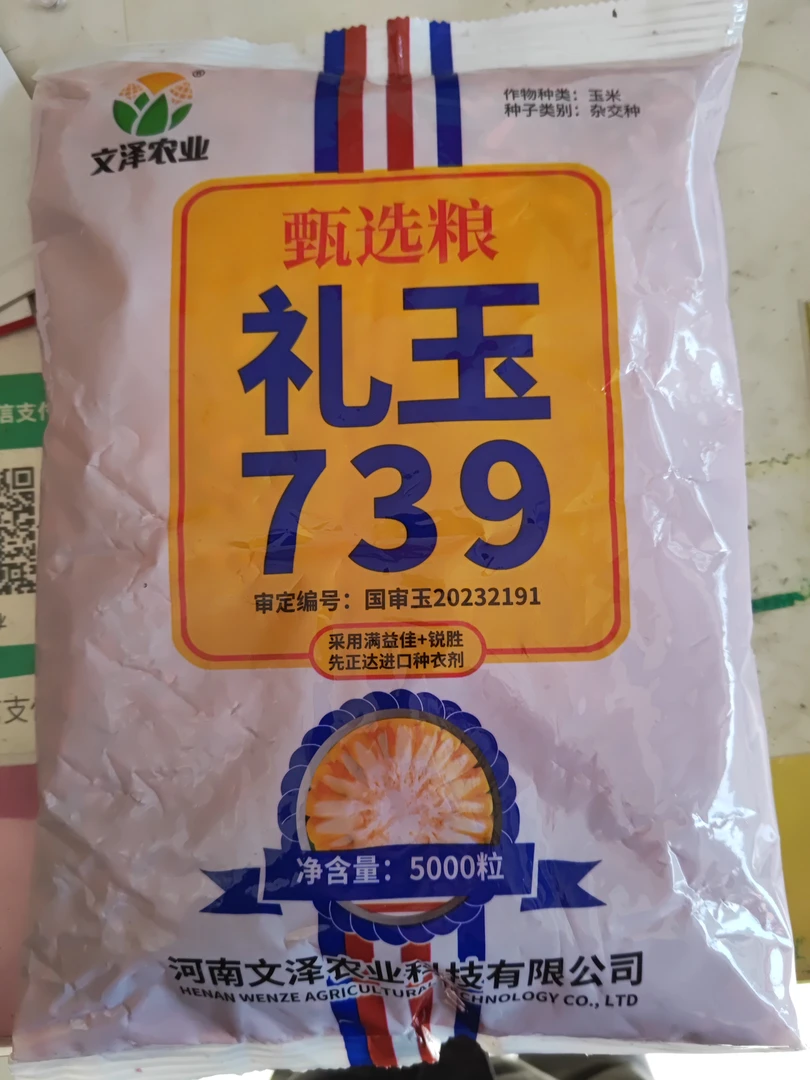 礼玉739，矮杆耐密抗倒，耐高温，抗病，高产稳产