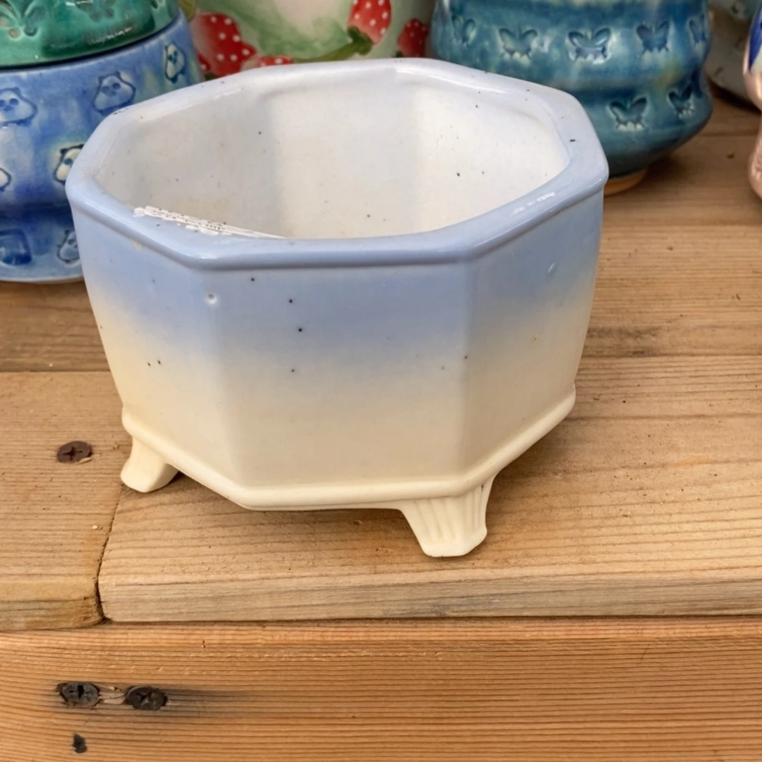 7号多肉盆口径10高8