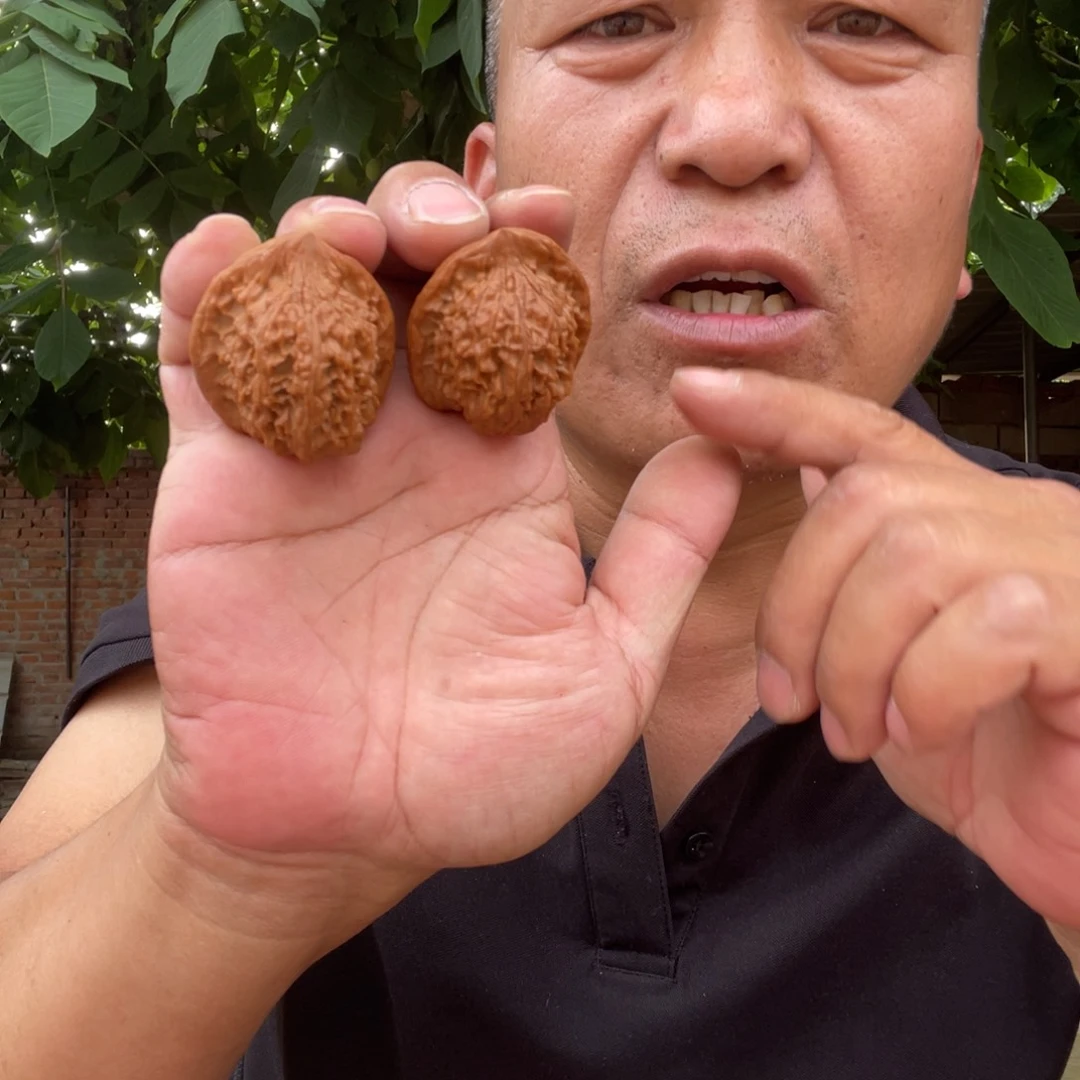 文玩核桃吊坠红狮子38