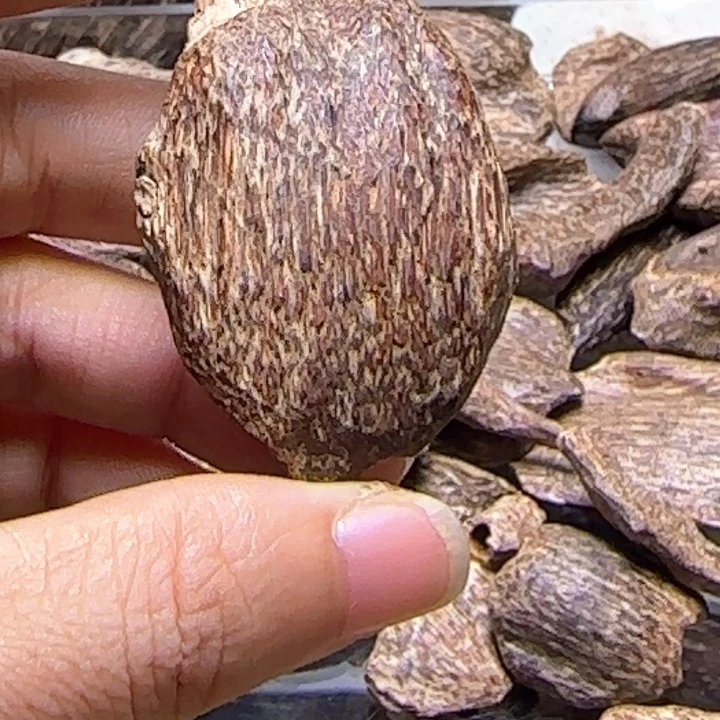 海南天然沉香小乌龟原材料