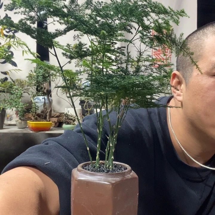 无花朵退款拉黑拉黑66