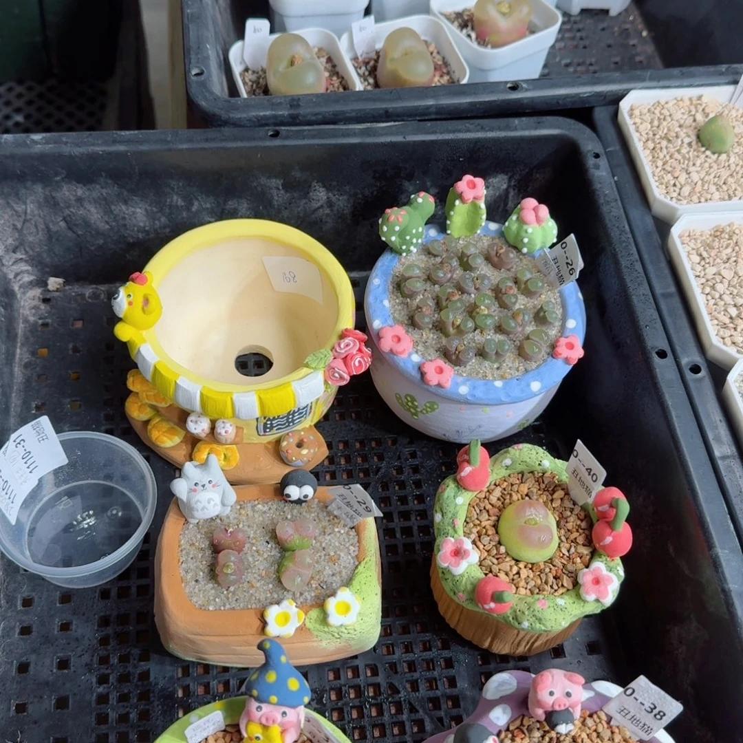 F***.1110-041盆盆盆p不不