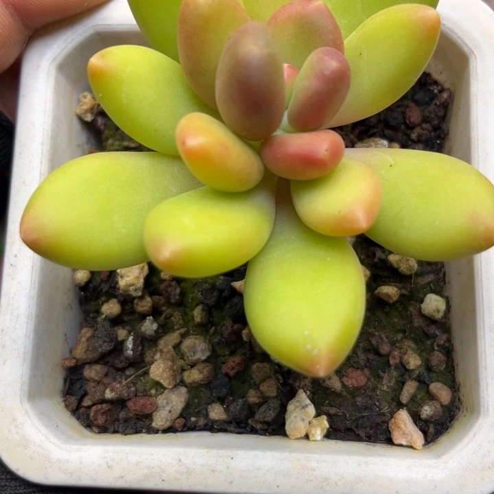 k lo ku wo ku wo j kun o