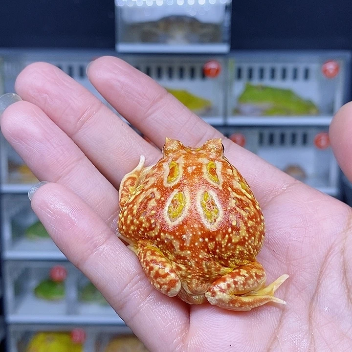 特价秒杀现货特价