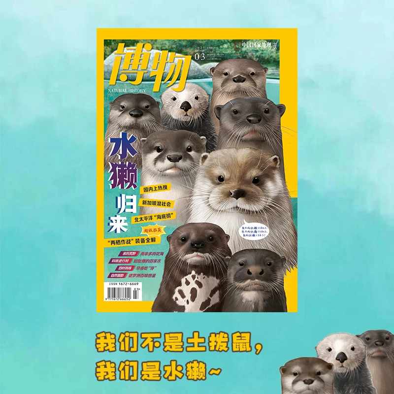 中国国家博物杂志 2025年3月刊 水獭归来 青少年科普