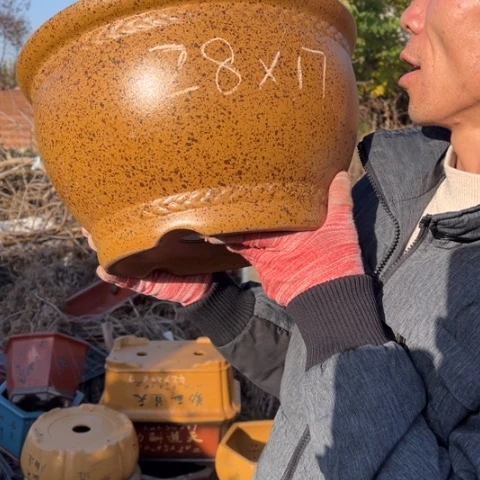 紫砂花盆特价包邮秒杀