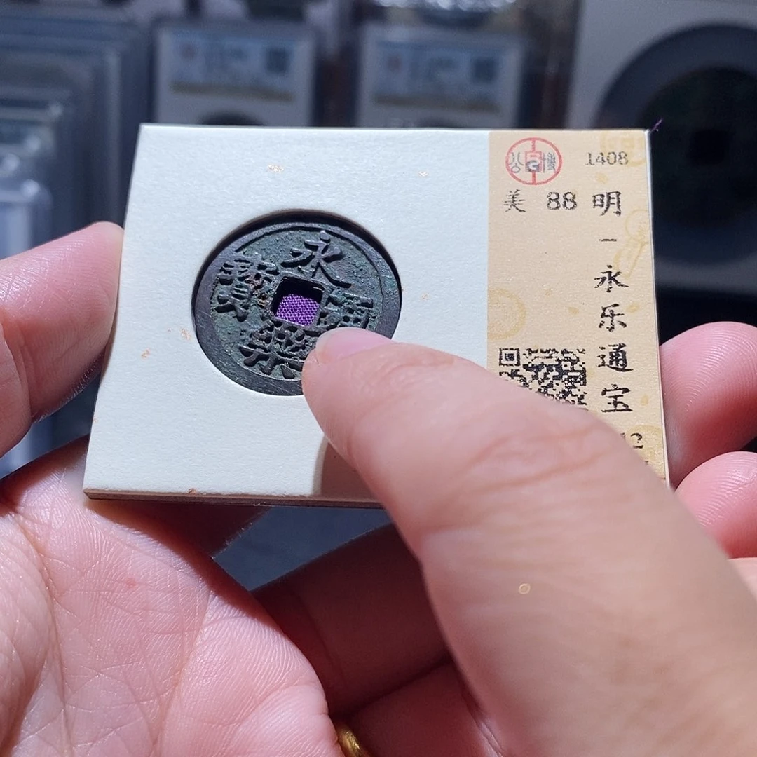 贝壳11 恭喜发财恭喜发财