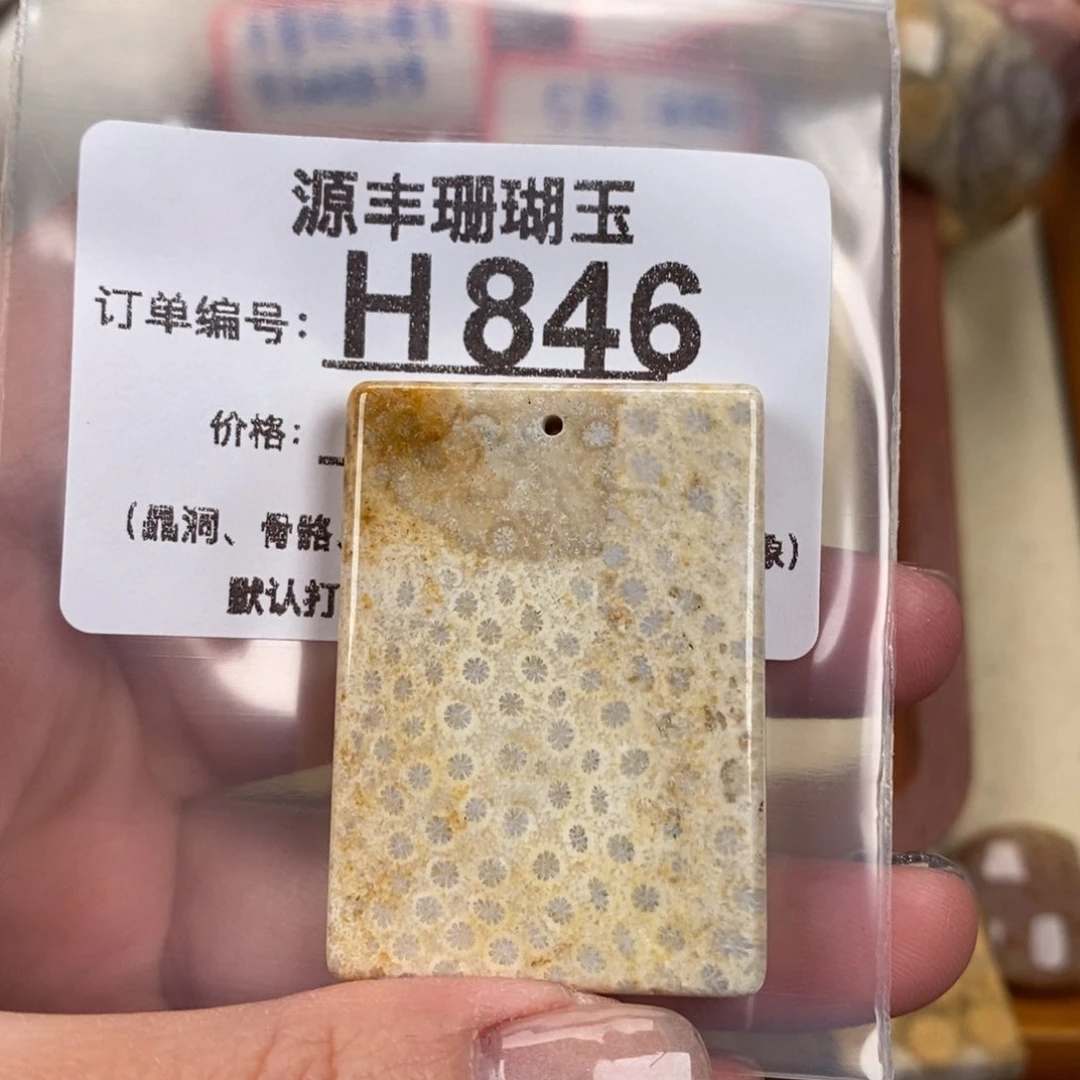 硅化玉颈饰未镶嵌青*