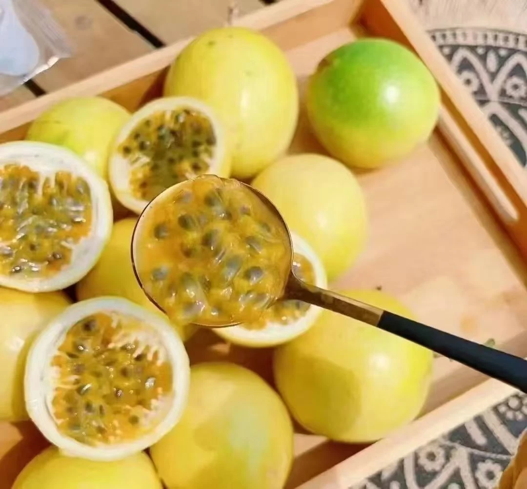 【高端精品果专属】钦蜜9号黄金百香果新鲜采摘小孩老人孕妇水果