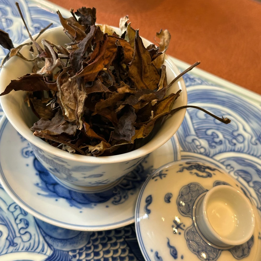 藤条白茶  云南古树白茶