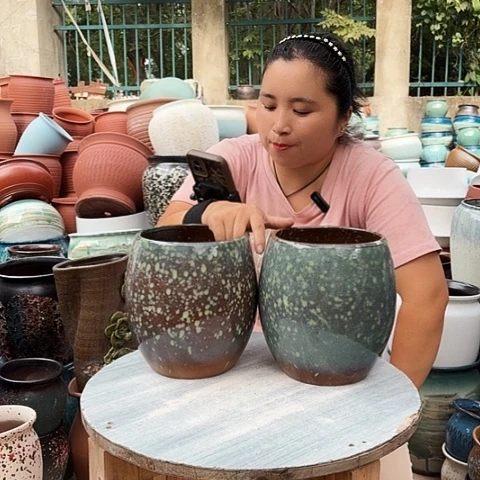 16口20高瑕疵两个盆。