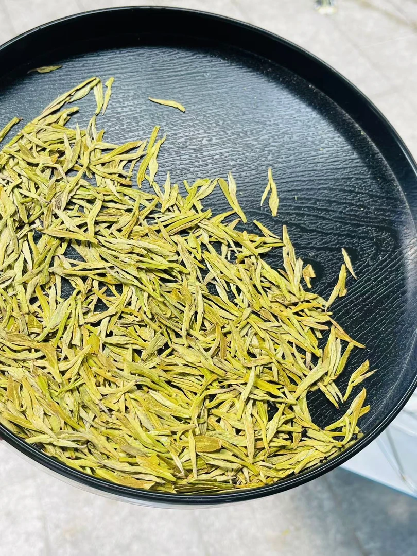 绿茶龙型黄金芽2024夏茶