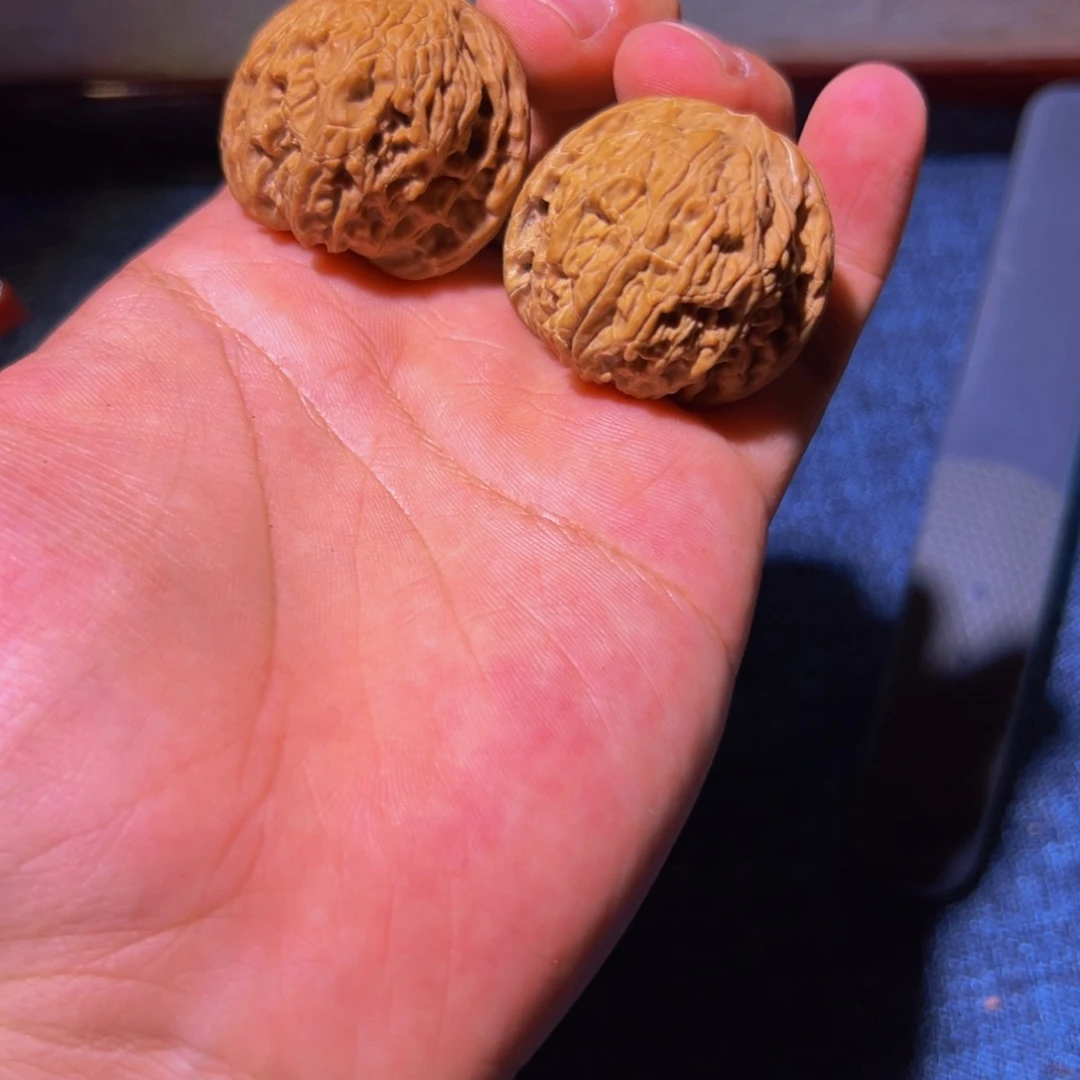 39全品山地磨盘福利一对