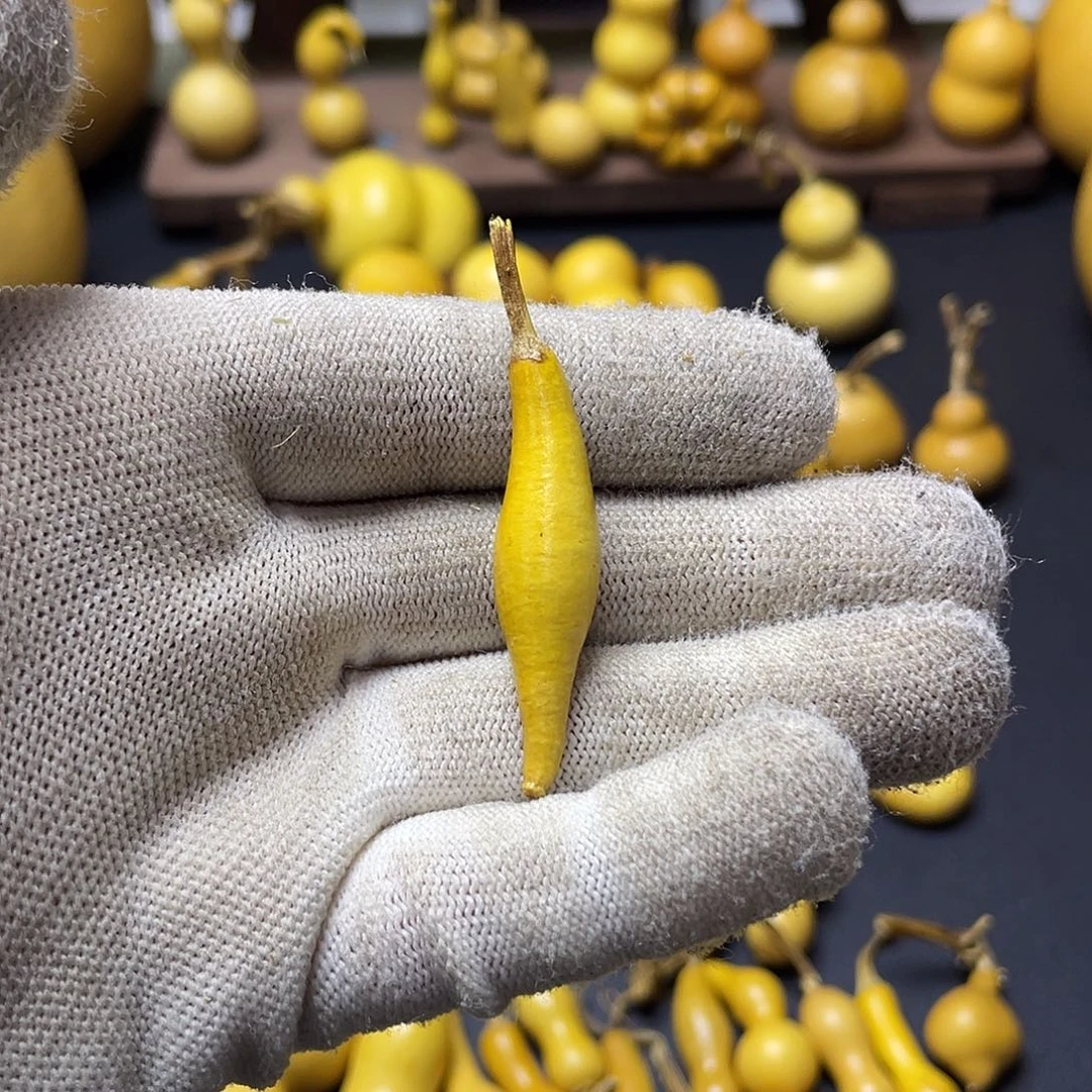 毛***哈文玩葫芦精品葫芦