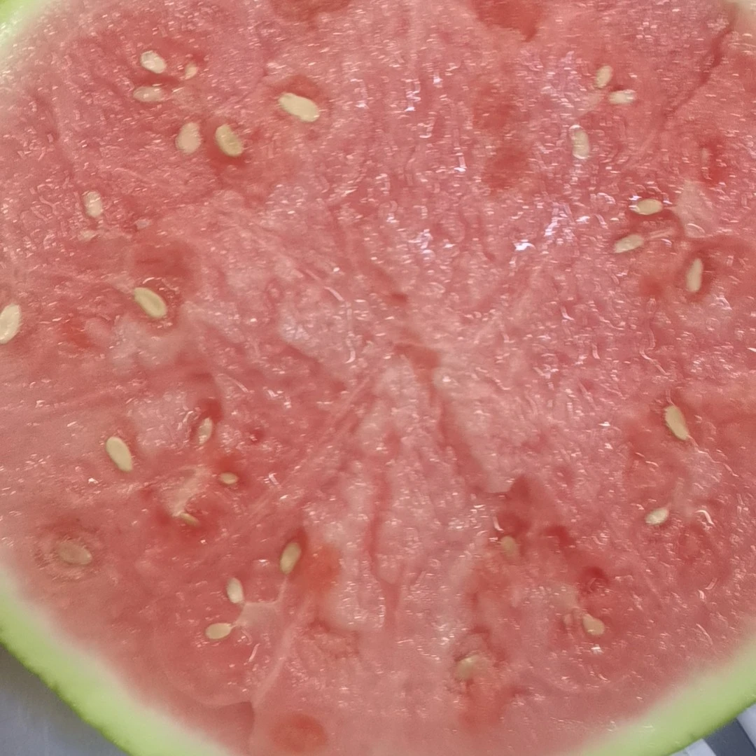 美都西瓜江苏盐城500g切盒装香甜无籽山东省