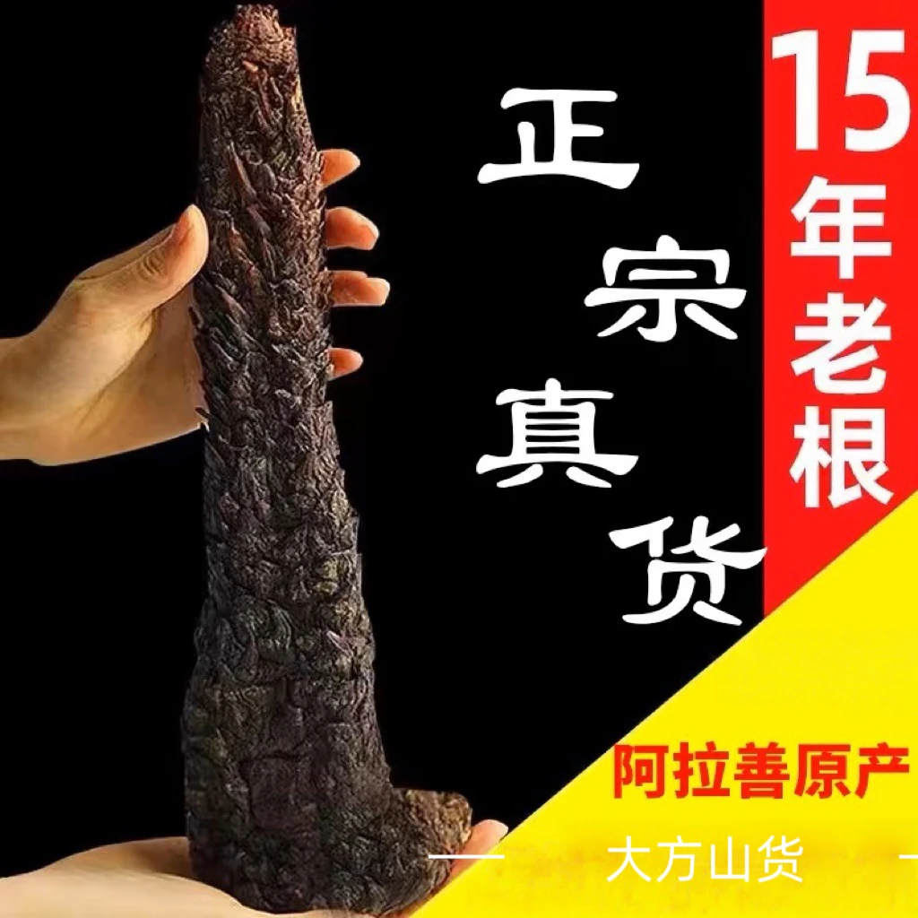 【筱师妹山货】沙漠黄金~肉苁蓉整根 可用于泡酒1