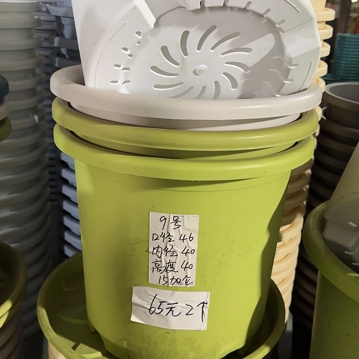 四季9#口径46无托果绿3个