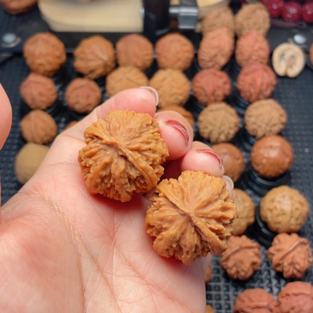 【闪购商品】把件文玩核桃霸王龙
