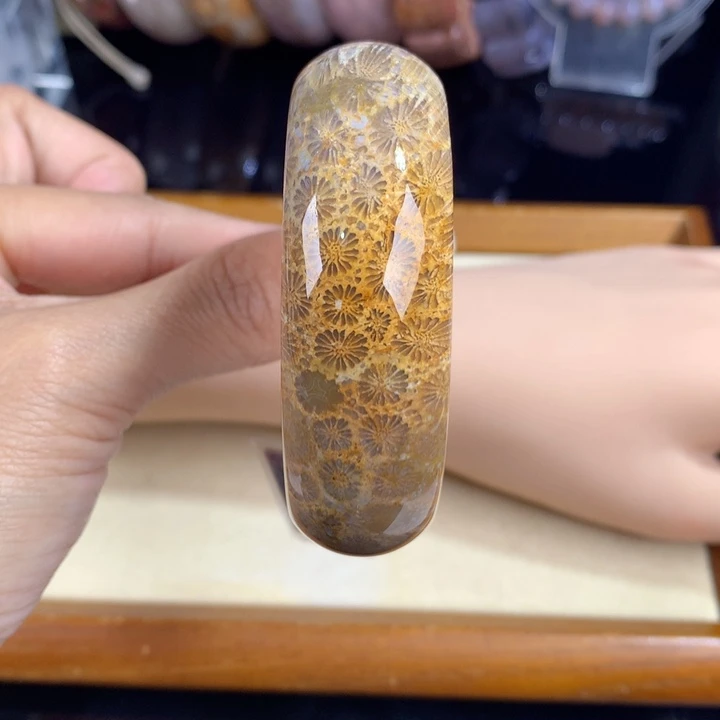 硅化珊瑚（珊瑚玉）未镶嵌吊坠(赠链)20号54圈口