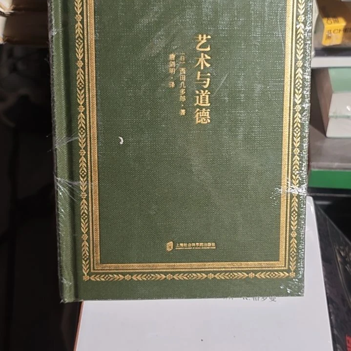 艺术与道德精装塑封