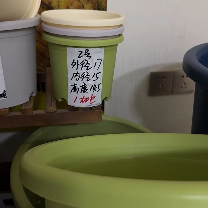 果绿色2号无托10个口径17高度14.5