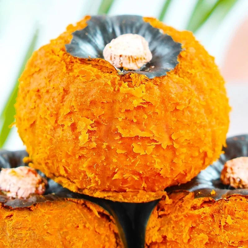 正宗贝贝南瓜新鲜粉糯甜宝宝辅食小南瓜