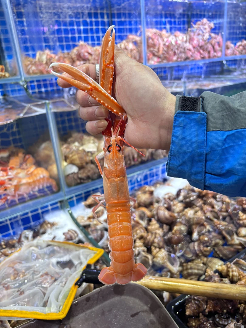 深海鳌虾日料刺身虾南极产小龙虾熬虾鲜活 2斤
