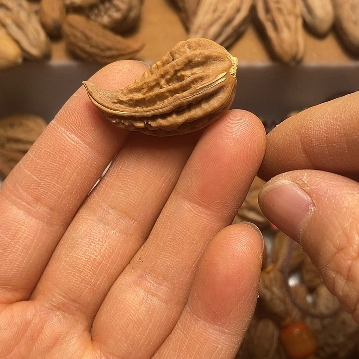 把件文玩核桃不错