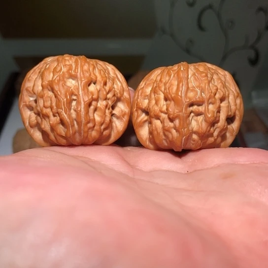 厚***孔有机玻璃39磨盘狮子头