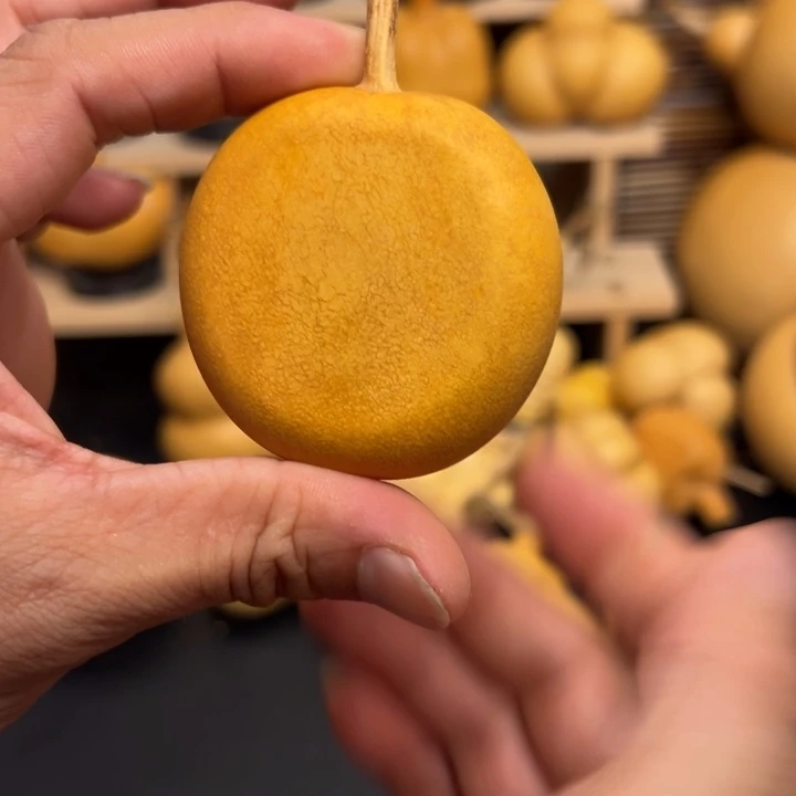 六***门25566666666999699