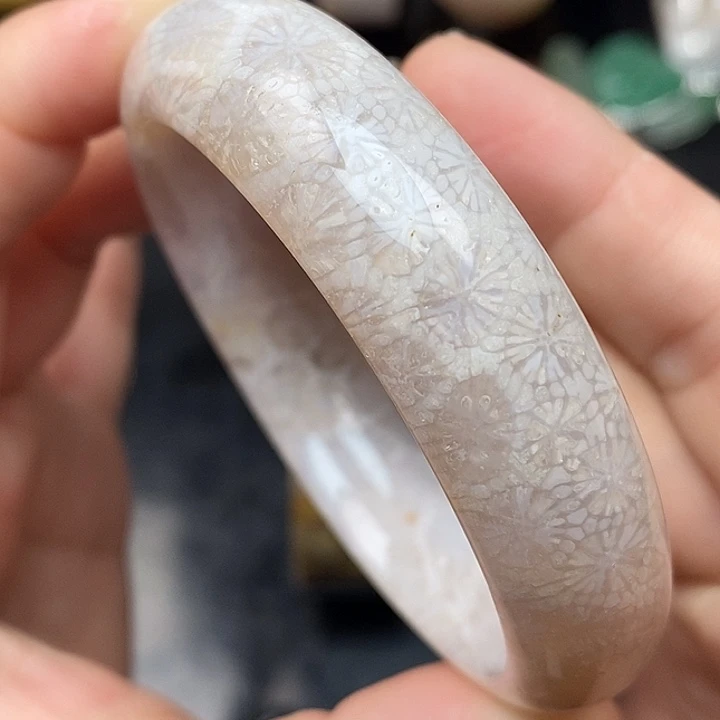 硅化玉未镶嵌颈饰