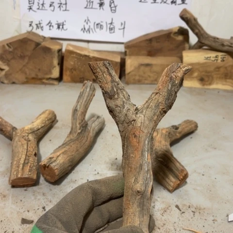 大果紫檀（缅甸花梨）凉