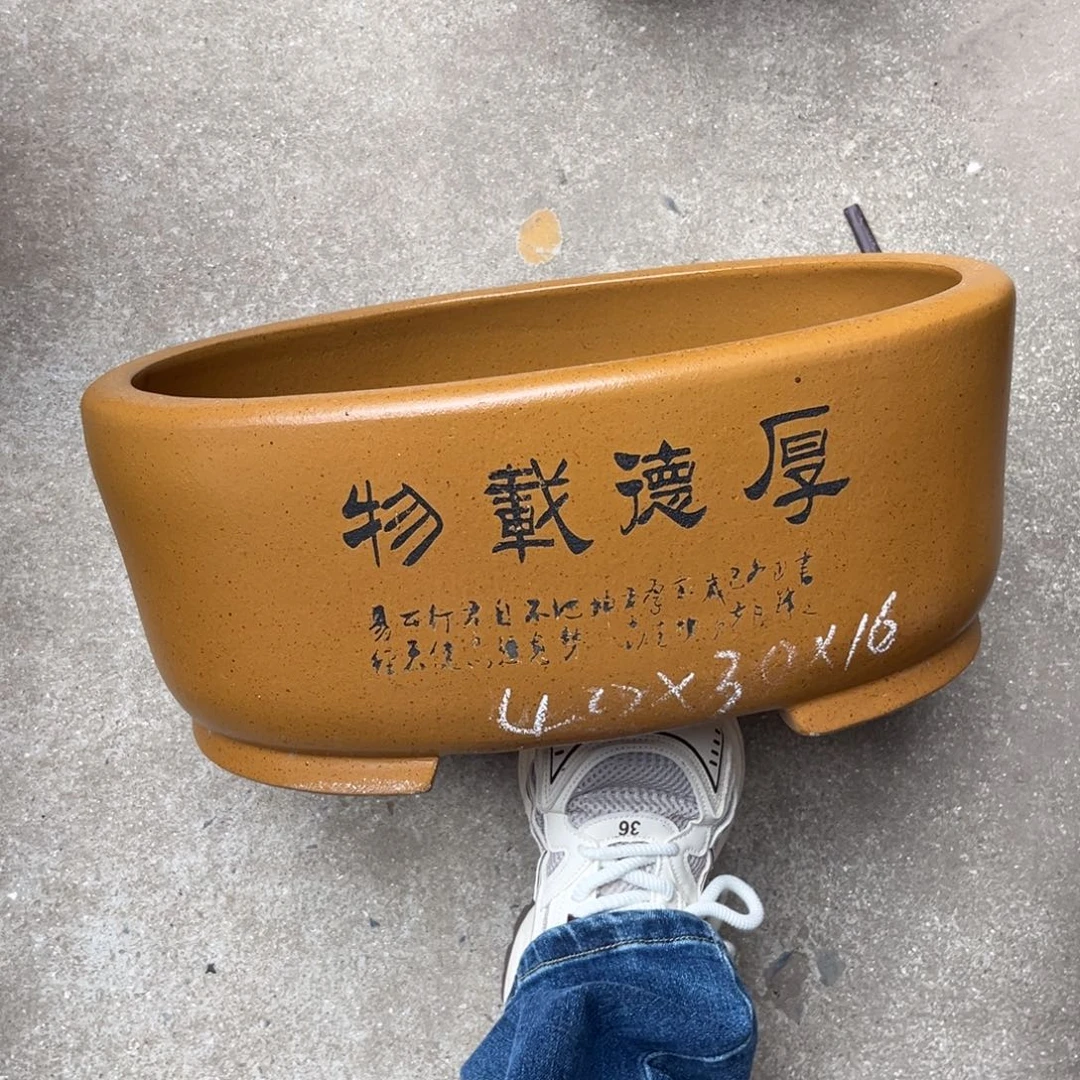 紫砂花盆盆景艺术