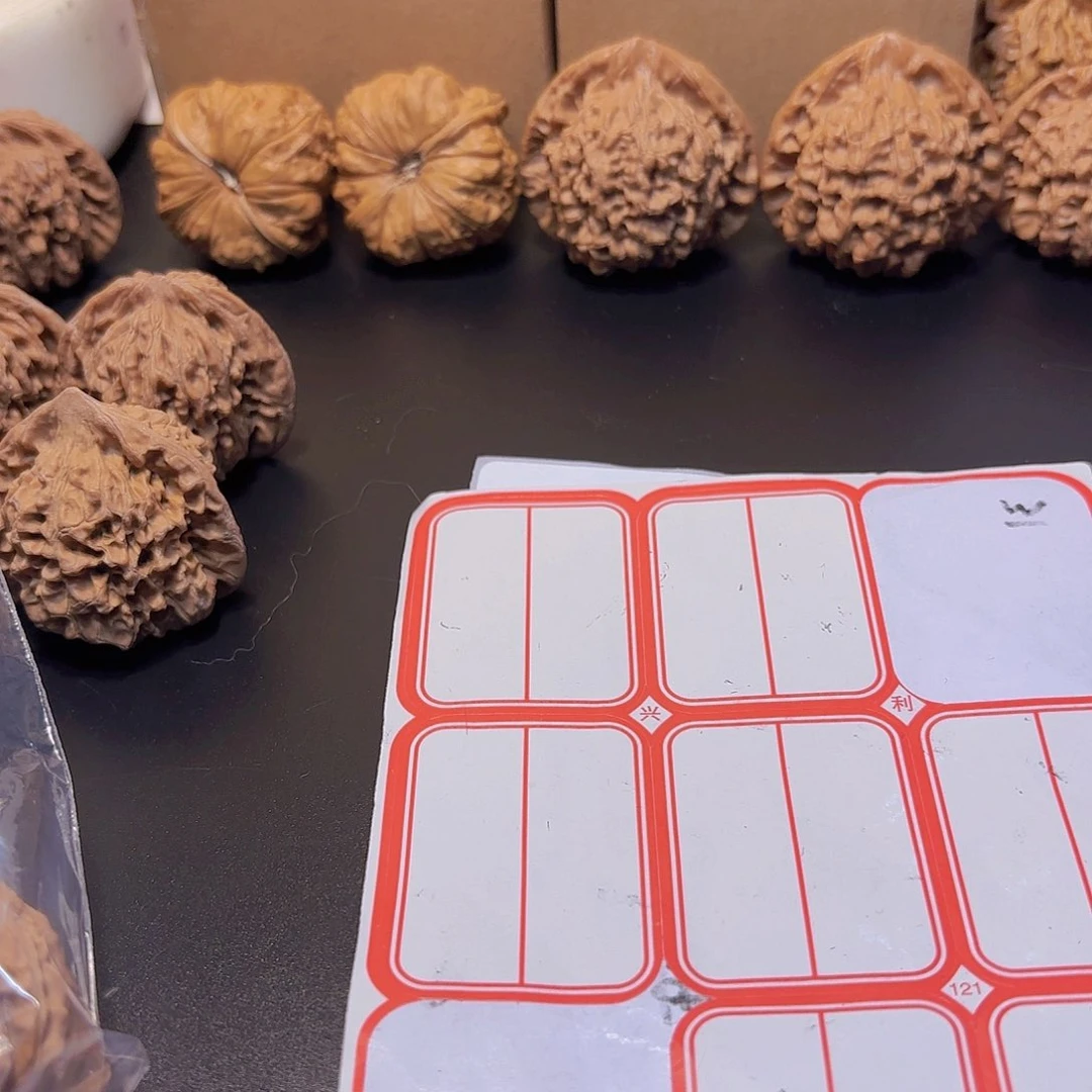 Y*生白狮子四座楼白狮子四座楼