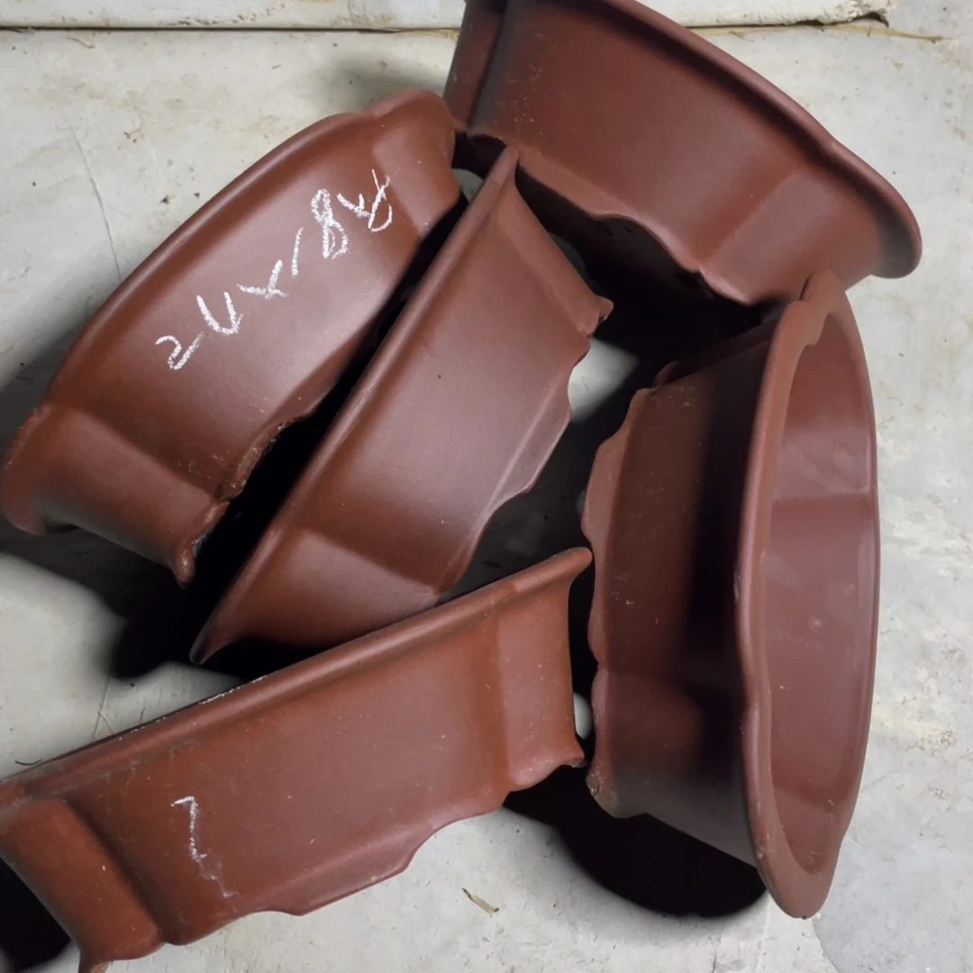 紫砂24长海棠一组五只