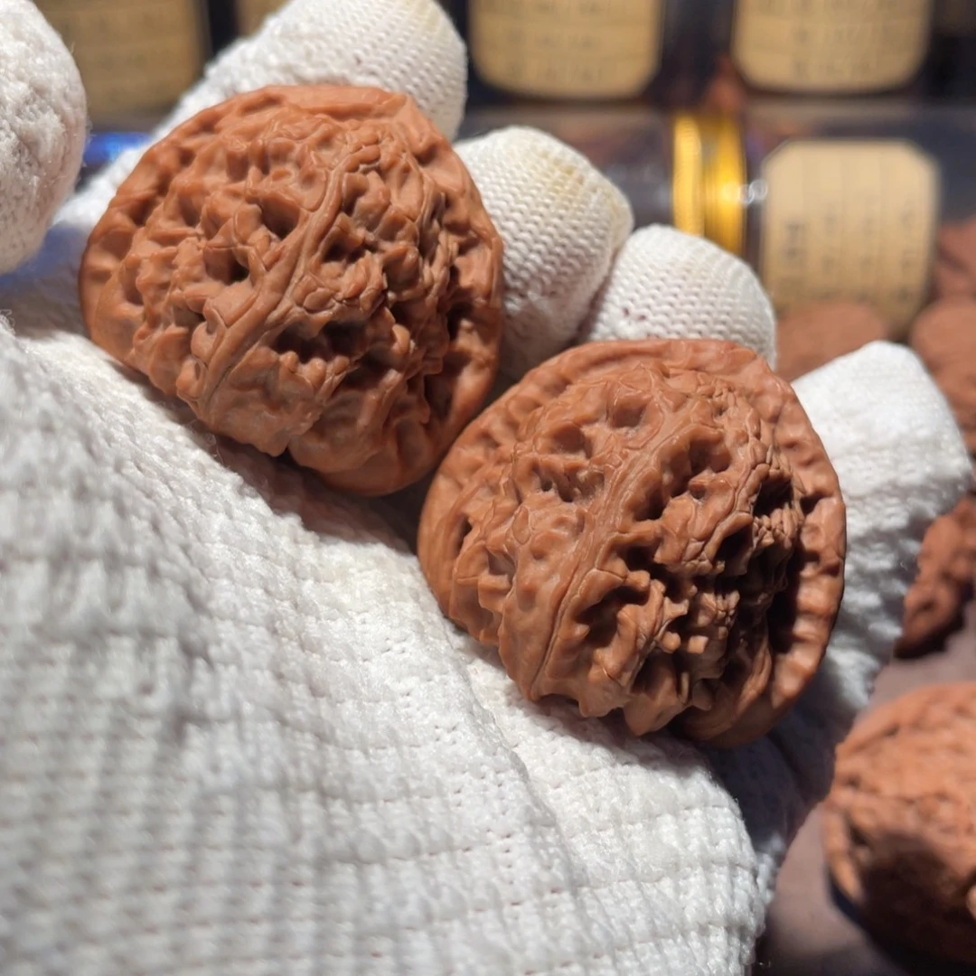 核桃41三角白111111