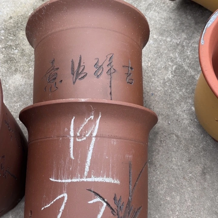 花盆紫砂紫砂的花