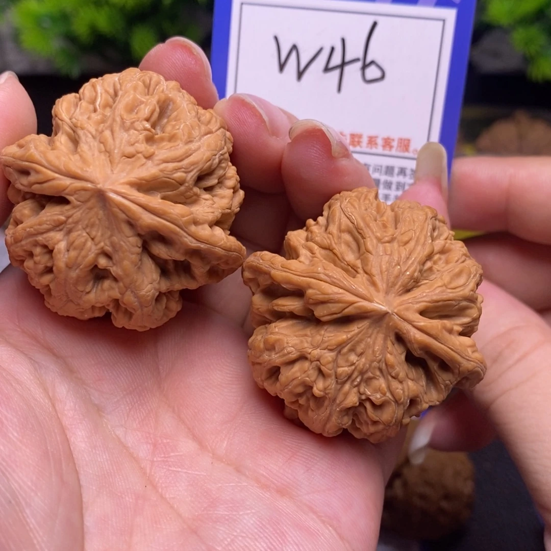 把件桃核全品43大粗筋