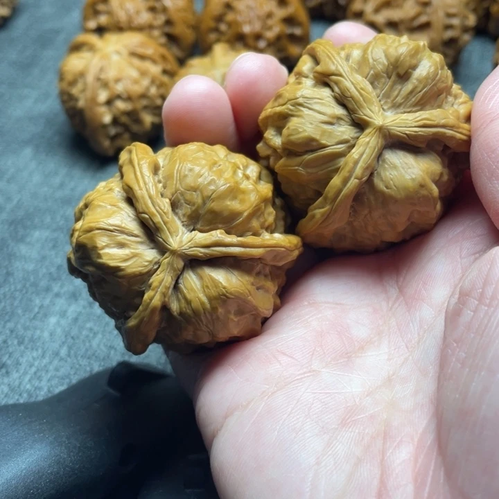 与***过手工三棱蛤蟆头三棱
