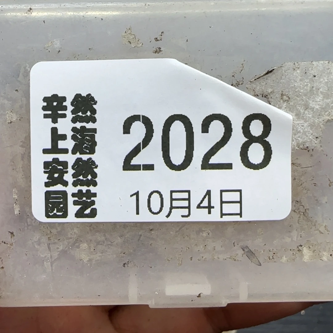 ****10.4。辛然园艺。饼干清框。 2028