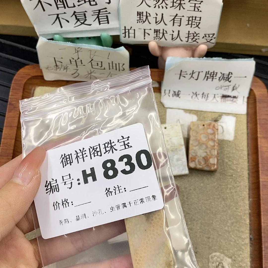 硅化珊瑚（珊瑚玉）未镶嵌颈饰浅