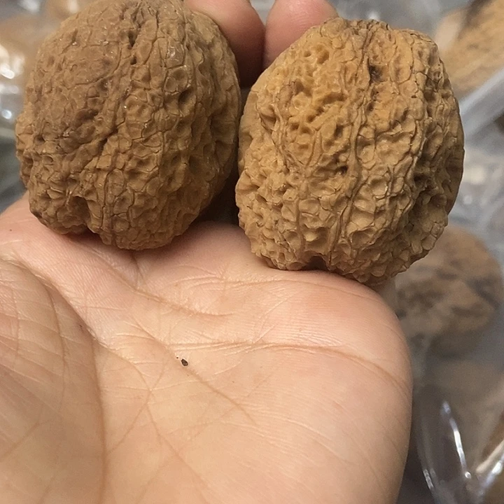 把件文玩核桃云南铁核桃基地18