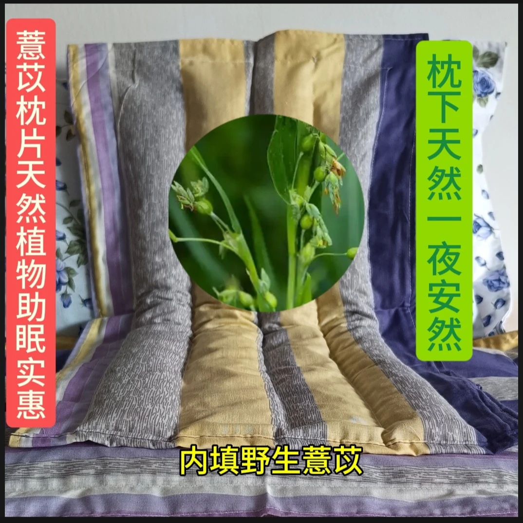 野生酒店薏苡枕片《大唐婉儿》经济实惠好用不贵。家用