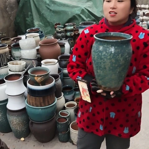 20口29高瑕疵盆子。