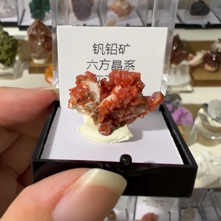 金***兔未镶嵌眼镜紫晶钒铅矿