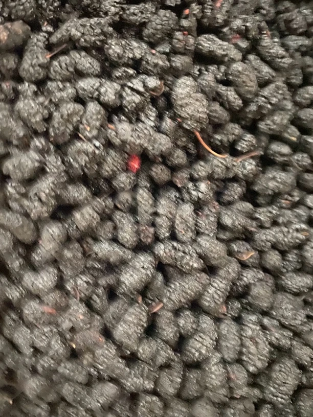 中秋佳节.......桑干货