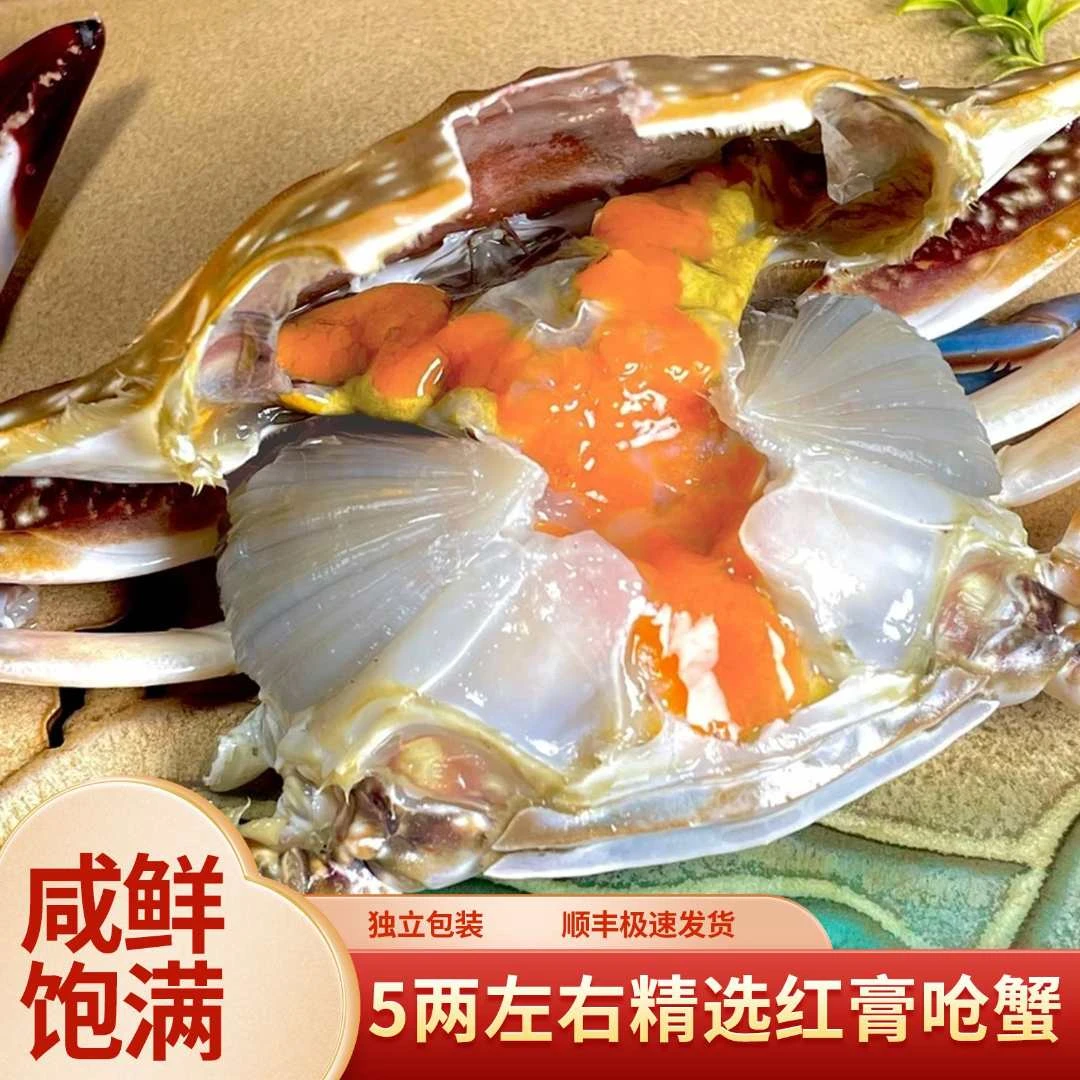 【精选5两左右红膏呛蟹】舟山精选红膏呛蟹 半斤左右咸呛蟹只可生吃
