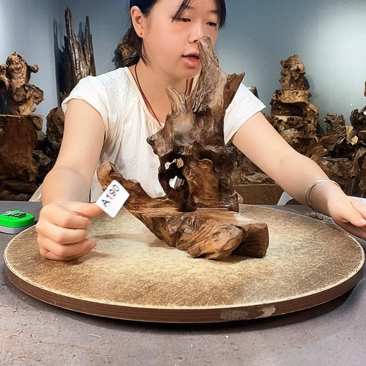 茶盏放**羁190株木随行的小根艺