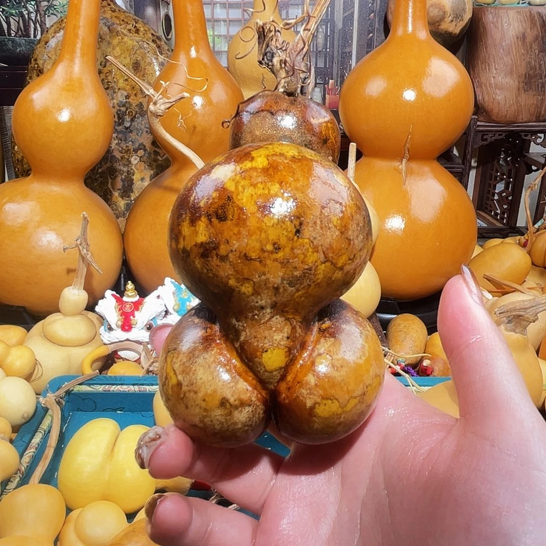 迈*赫葫芦呀呀呀呀呀呀呀呀呀呀